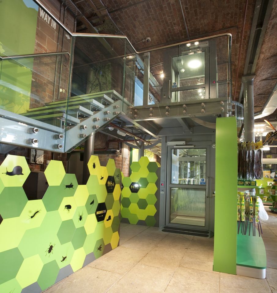 A Midilift SL platform lift opens up an entertaining and educational UK first, to people of all mobility levels.