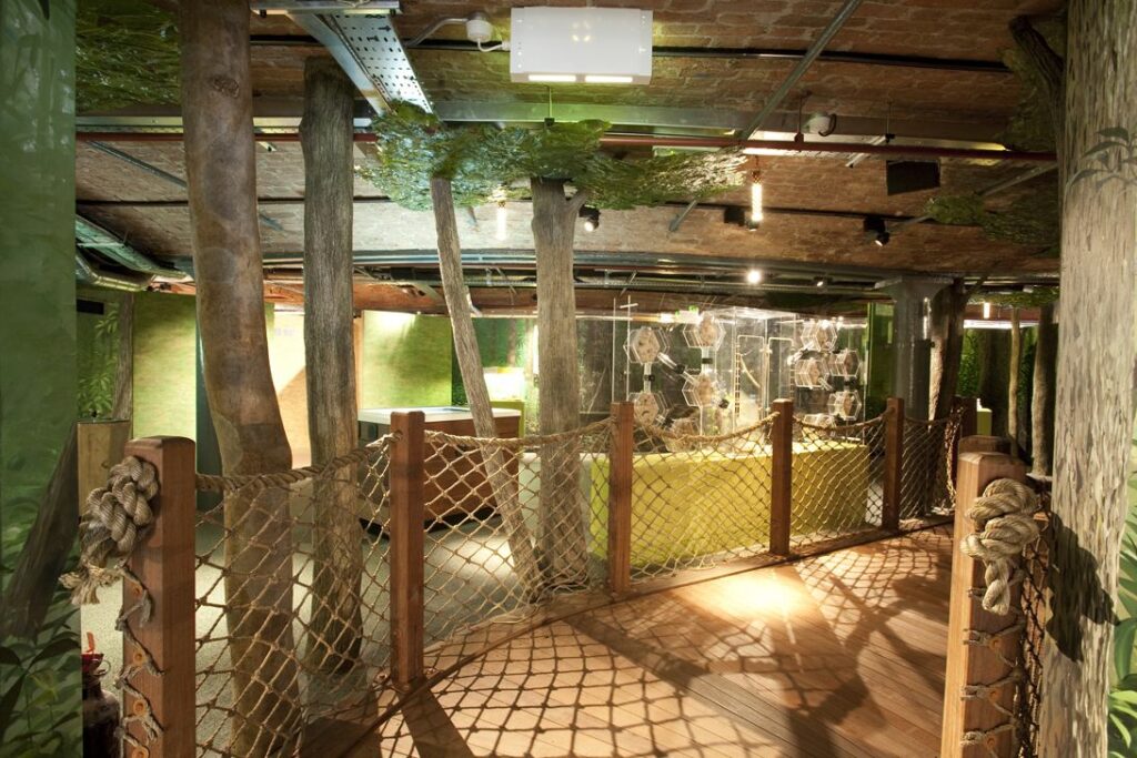 2 floors rustling with buggy scene-stealers - made accessible by a Midilift SL platform lift.