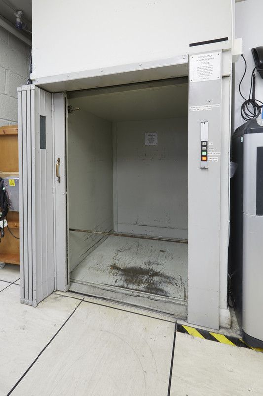 Battered but unbowed – hallmark of a lift fossil of peerless pedigree