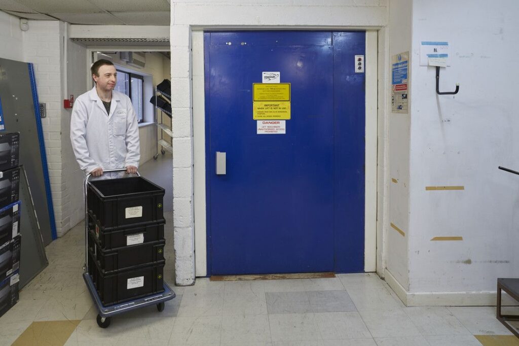 A distinctive, royal blue pachyderm